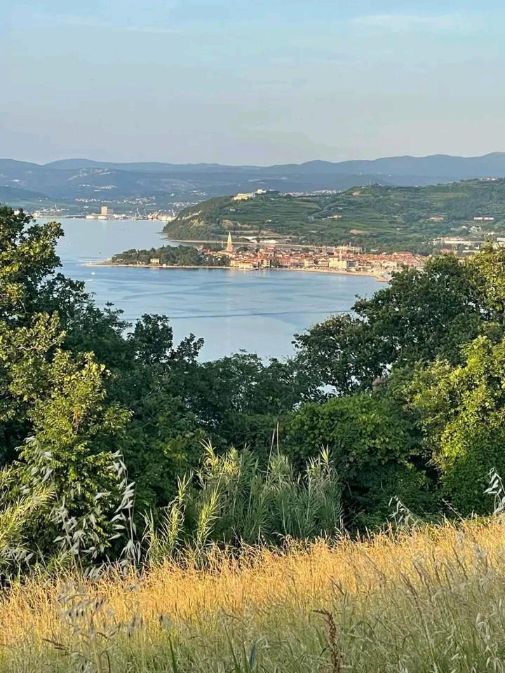 Vanilla Izola Bagian luar foto